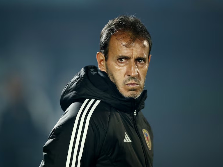 是南美区唯, 帅费尔南多 是南美区唯, 帅费尔南多